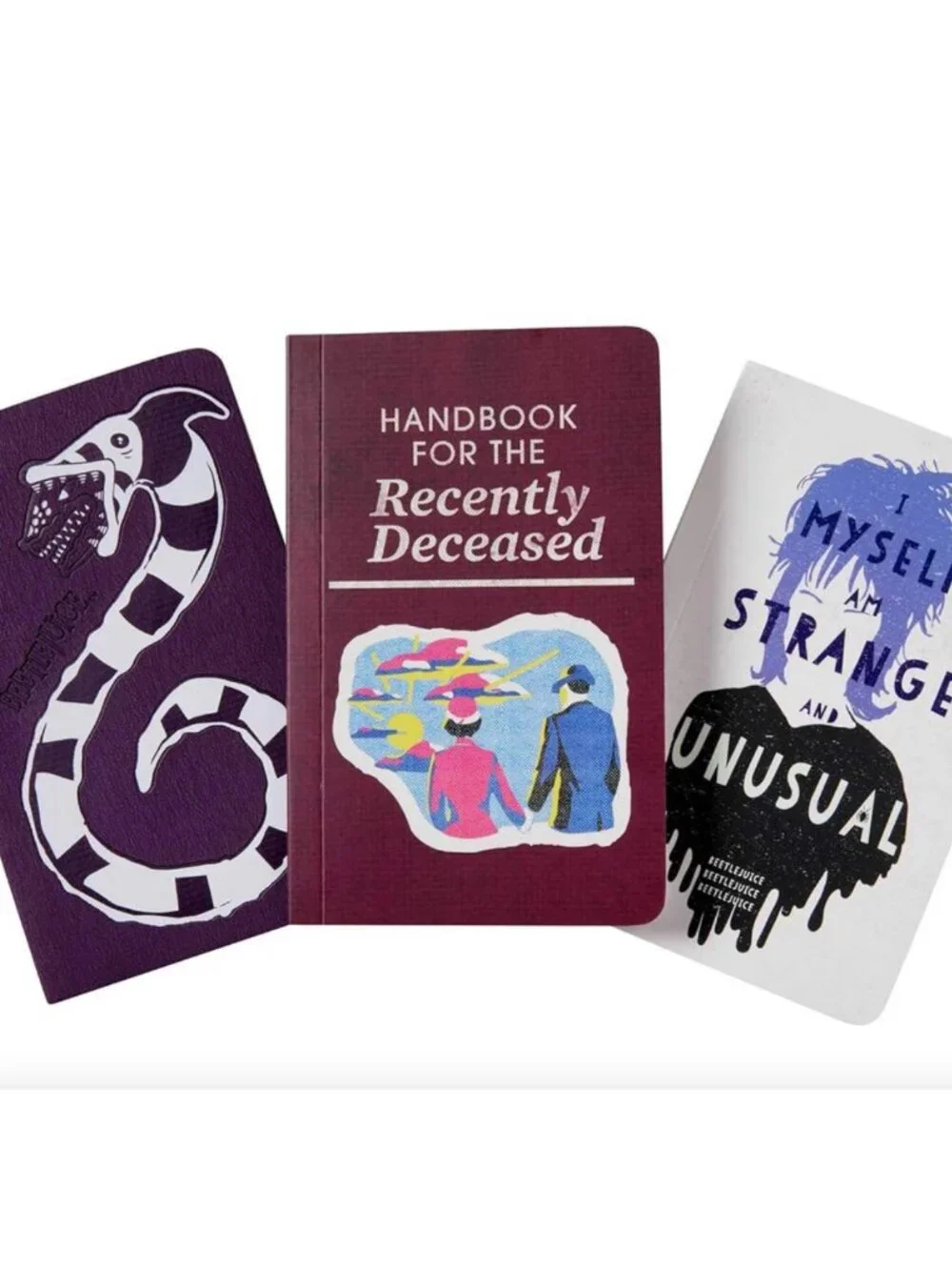 Beetlejuice Imagery 3 Pack Pocket Notebook Collection - 80's Movie Classics